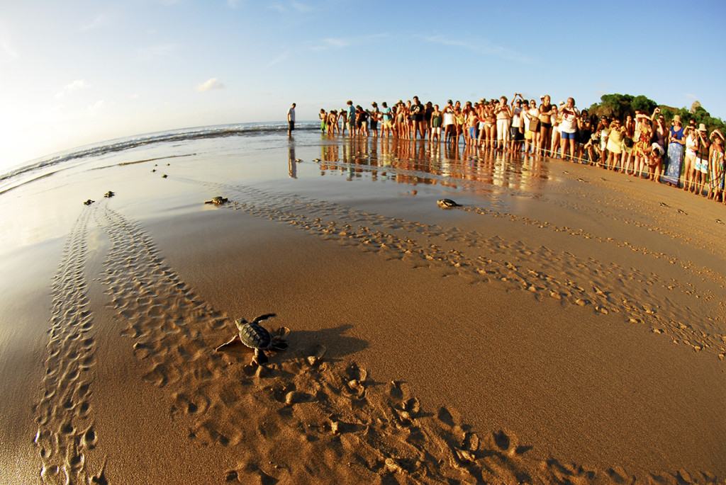 Dicas Fernando de Noronha com pouco dinheiro