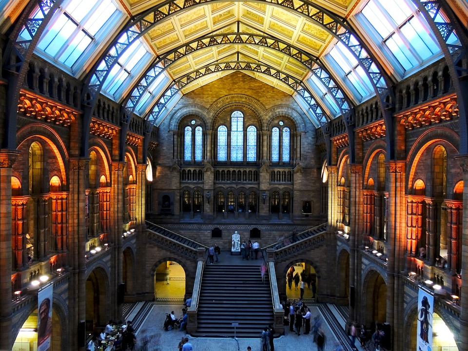 coisas para fazer em londres natural-history-museum