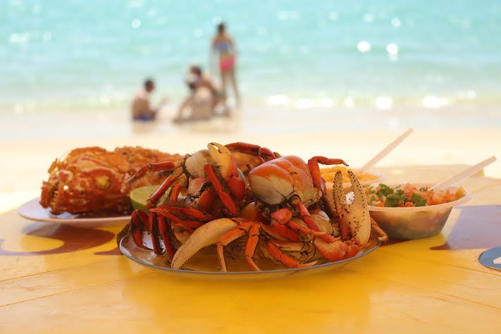 Foto: Elenilce Canavesio